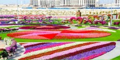الإمارات العربية المتحدة تفتتح أكبر حديقة للأزهار في العالم.