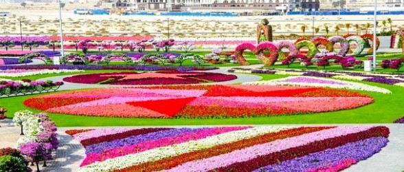 الإمارات العربية المتحدة تفتتح أكبر حديقة للأزهار في العالم.