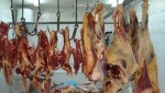 خطير : تواجد لحوم غير صحية بمدينة الدار البيضاء !