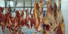 خطير : تواجد لحوم غير صحية بمدينة الدار البيضاء !