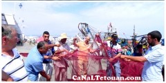 حوت (النيكرو) يهدد ميناء المضيق بالإفلاس