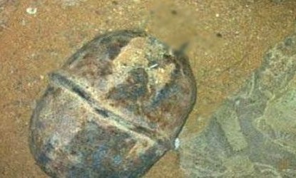 العثورعلى قنبلة بتجزئة الرمال بمرتيل تستنفر أجهزة الأمن