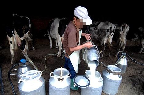 جهة طنجة ـ تطوان تنتج 300 مليون لتر من حليب الأبقار والمعز