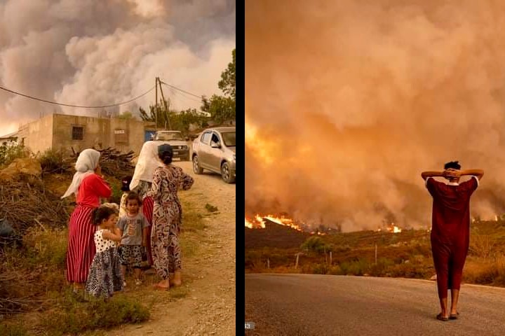 شفشاون: تواصل الجهود لإخماد حريق أتى على نحو 725 هكتار من الغطاء الغابوي