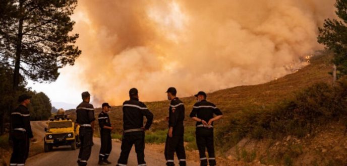 السلطات تسيطر على حريق غابة “سوكنا” بشفشاون وتضرر 1100 هكتار من الغطاء الغابوي