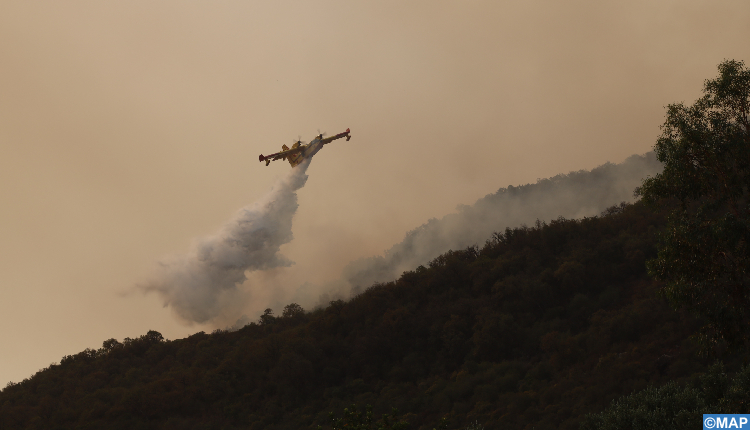 حرائق الغابات: تدخلات ميدانية متواصلة برا وجوا لإخماد النيران وحماية أرواح المواطنين