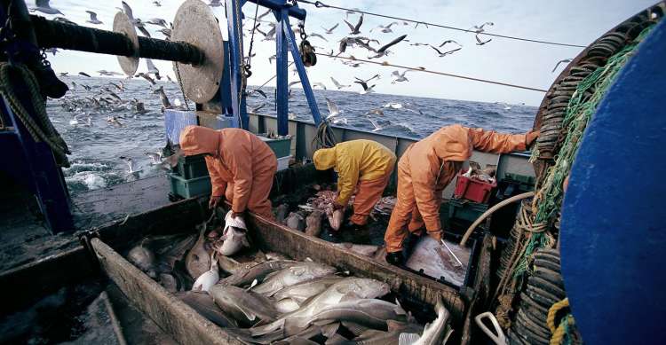انتهاء اتفاقية الصيد البحري مع المغرب تكبد الأوروبيين خسارة كبيرة !