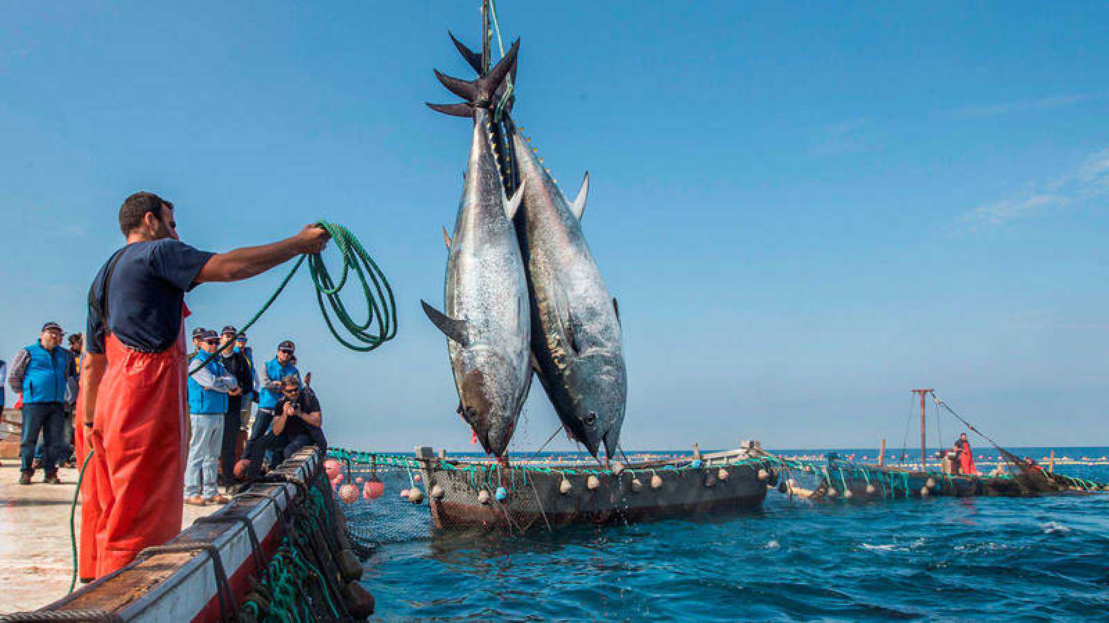 أعلن المغرب، الأربعاء، أن تجديد اتفاقية الصيد البحري مع الاتحاد الأوروبي مرهون بتقييمها على المستوى الحكومي.