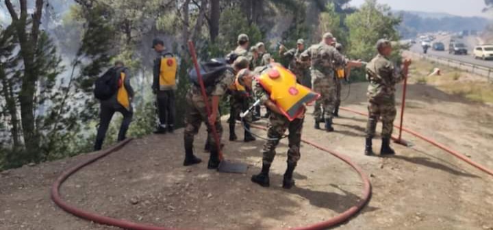 القوات المسلحة الملكية بتطوان تشارك في إطفاء حرائق غابة عين الحصن